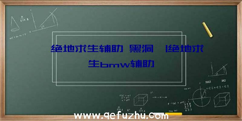 「绝地求生辅助